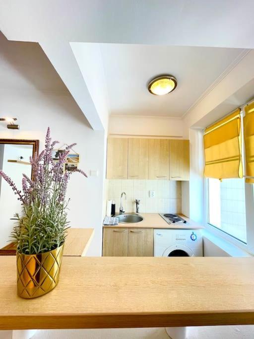 Boutique Apartment In The Bucharest City Center Luaran gambar